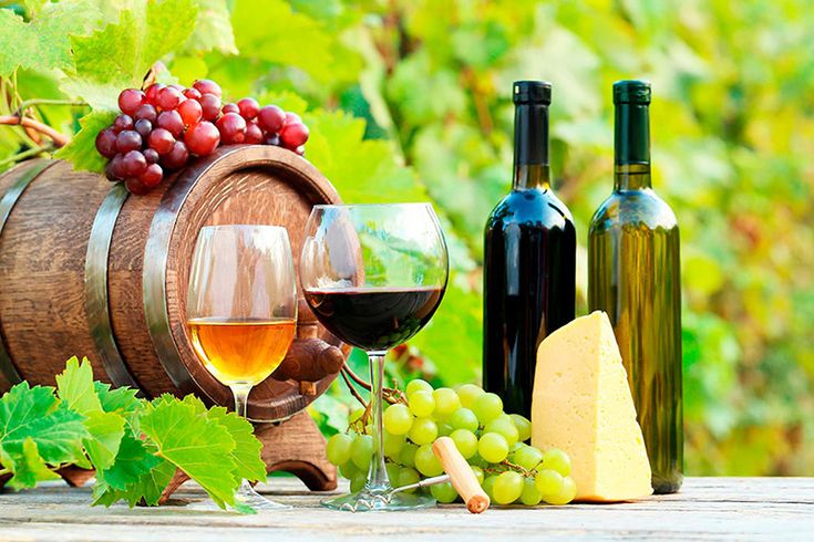 The Ultimate Guide to Wine and Food Pairing: Elevate Your Dining Experience